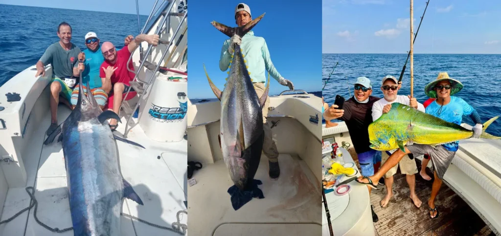 Sportfishing on Banderas Bay