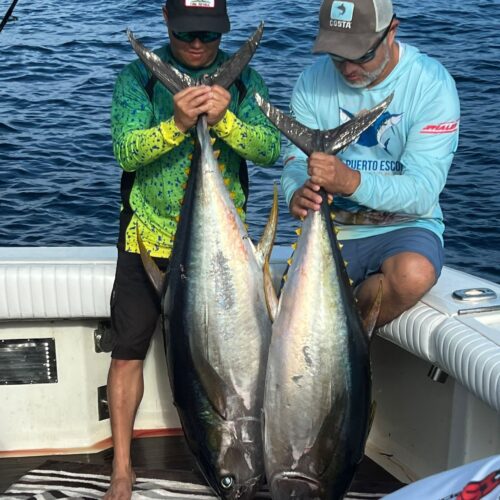 Chino-Fishing-Tuna-Reel-Action-Vallarta
