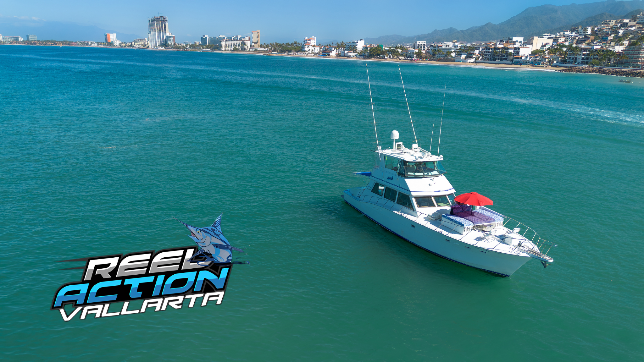 puerto vallarta fishing trips