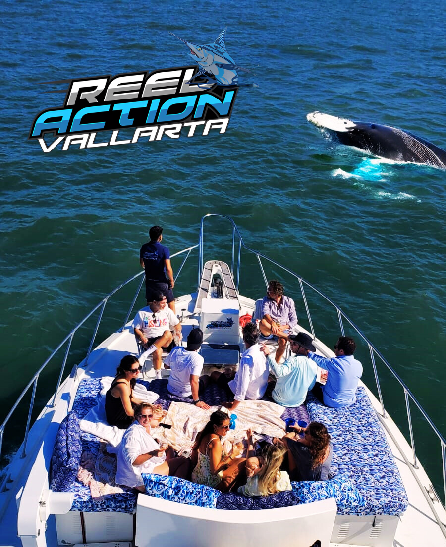 puerto vallarta fishing trips