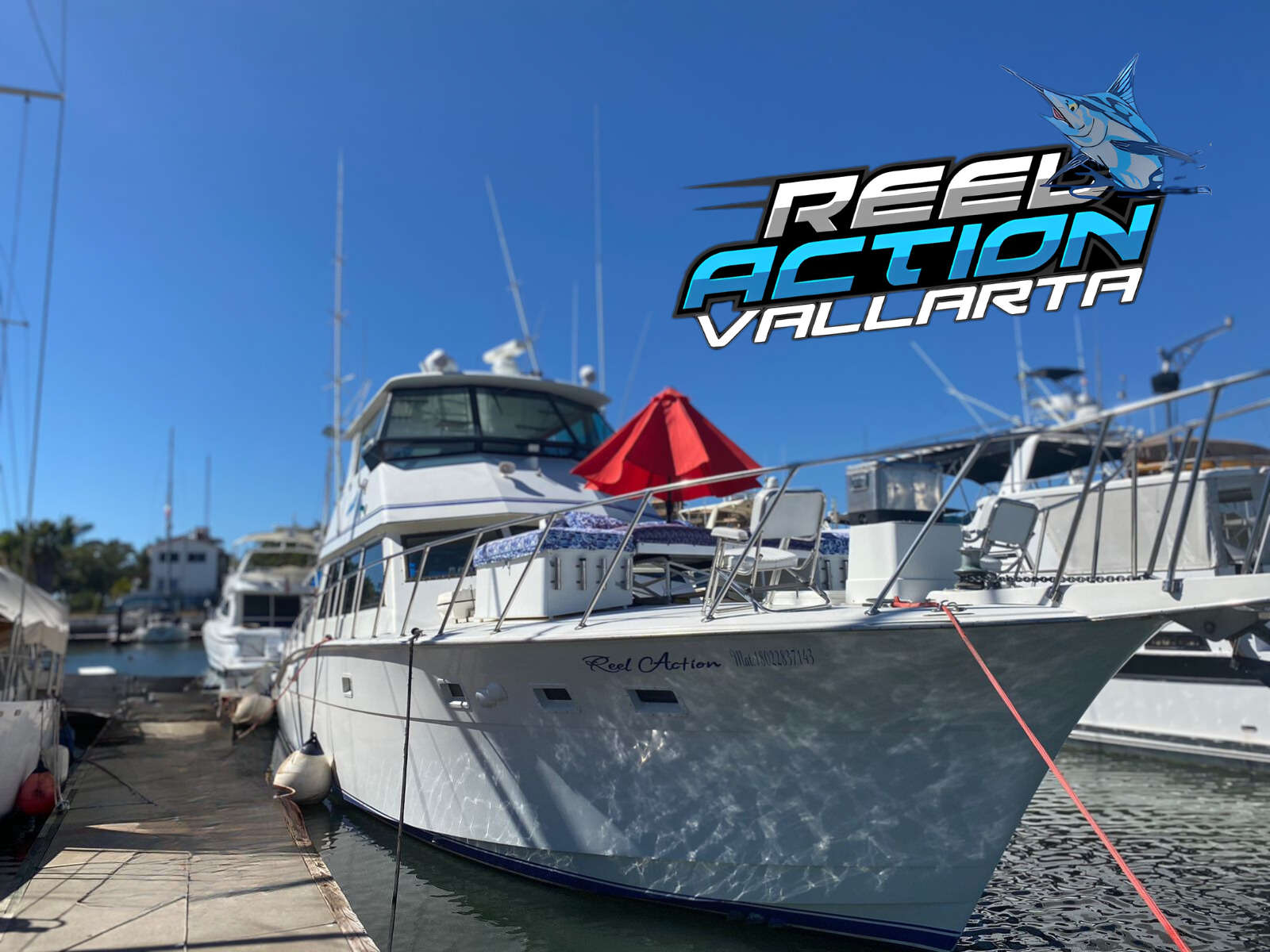 Reel Action - Fishing Charters in Puerto Vallarta