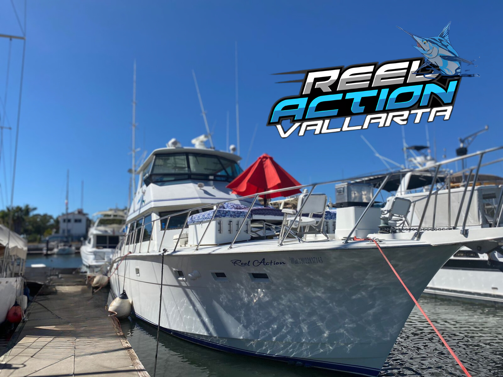 puerto vallarta fishing trips