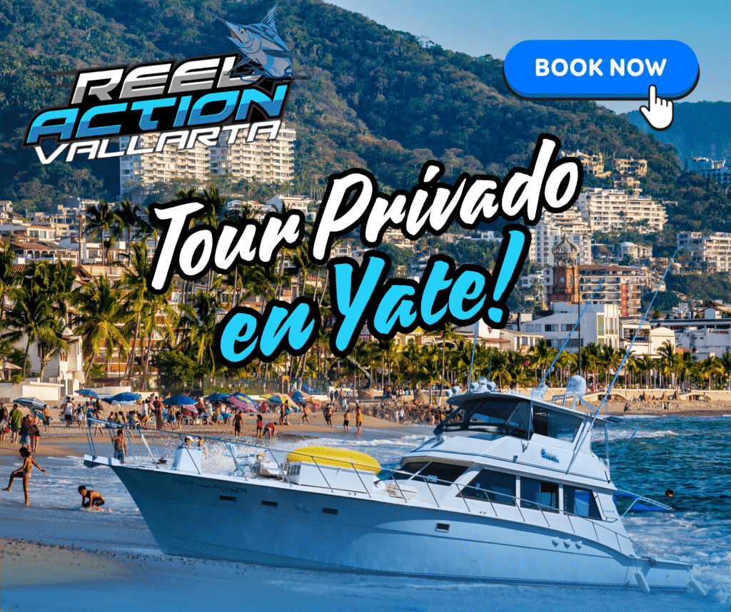 Puerto-Vallarta-Los-Arcos-Tour-min