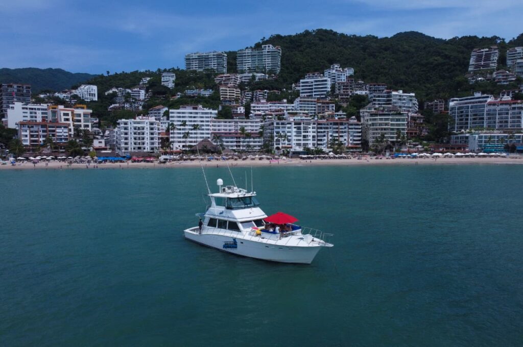 WhatsApp Image 2025-10-03 at 5.50.37 PM (3)