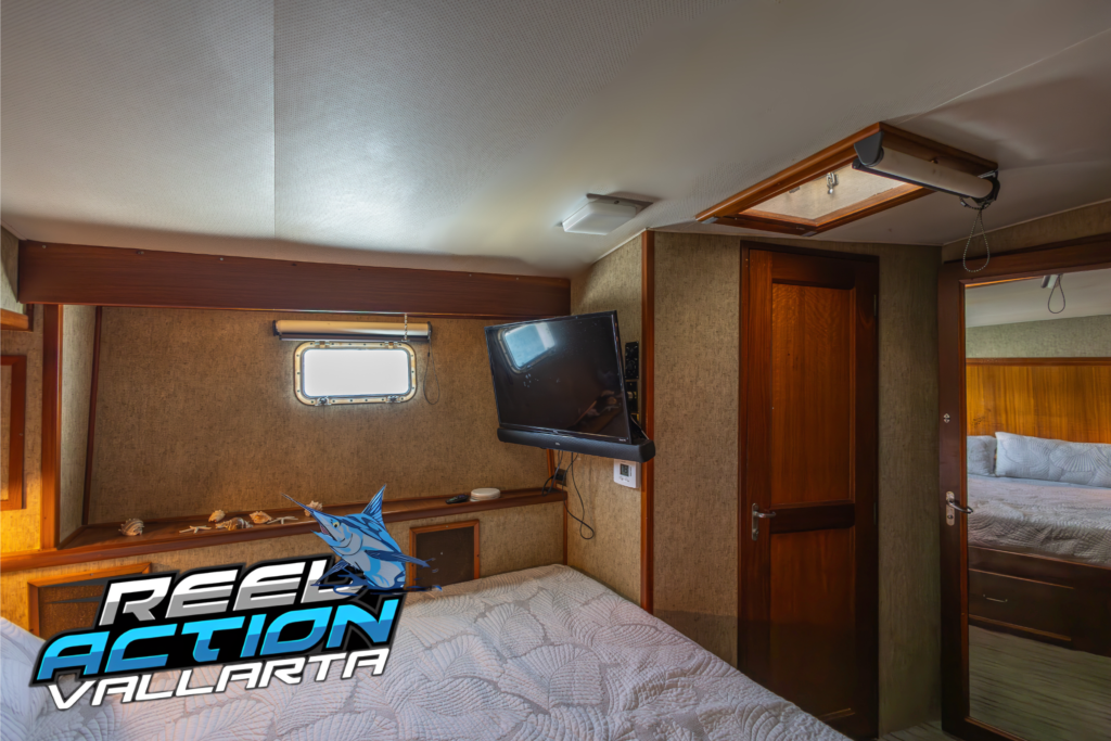 reel-action-vallarta-room-1